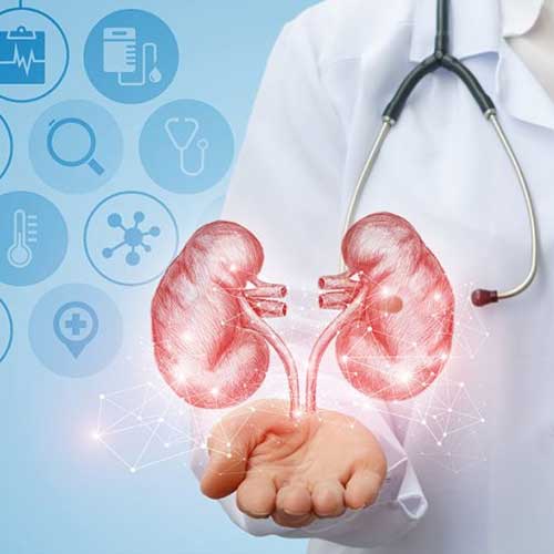 chronic kidney diseases and its treatments