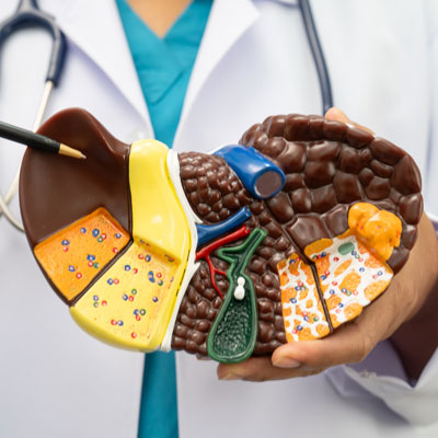 Liver Health Package